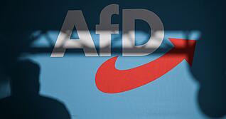 Nützt ein Verbotsverfahren der AfD oder schadet es der Partei? Darüber sind sich die Deutschen nicht einig.