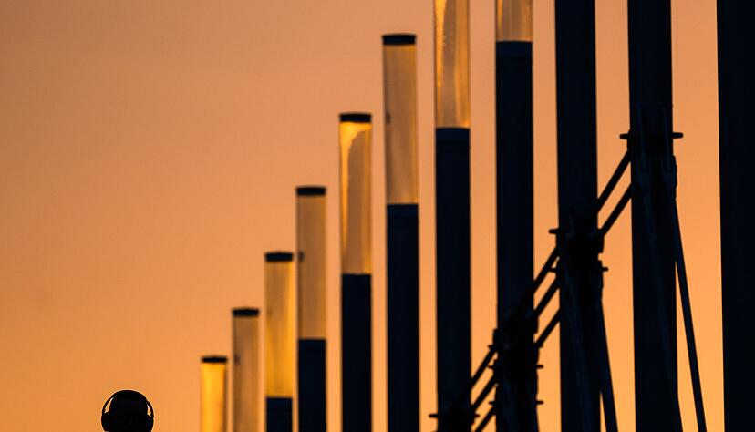 Vielfalt beim Musikstreaming: Design, Funktionen und K&uuml;nstlerverg&uuml;tung unterscheiden sich je nach Dienst.