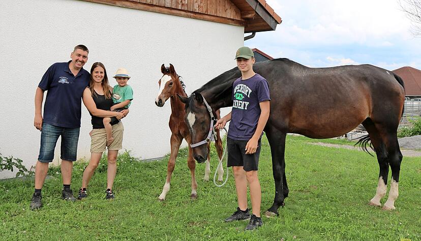 Eine fröhliche und erfolgreiche Reiter- und Züchterfamilie auf ihrem Hof in Abstatt: (v. li.) Franz und Pia Semler mit ihren Söhnen Jonas und Nick. Ihre Zuchtstute hat ein Hengstfohlen bei Fuß. Fotos: Bettina Hachenberg Eine fröhliche und erfolgreiche Reiter- und Züchterfamilie auf ihrem Hof in Abstatt: (v. li.) Franz und Pia Semler mit ihren Söhnen Jonas und Nick. Ihre Zuchtstute hat ein Hengstfohlen bei Fuß. Fotos: Bettina Hachenberg