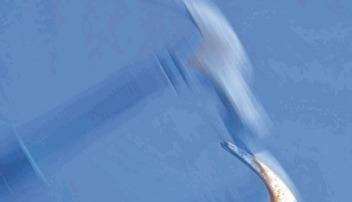 Mehr handwerklichen Unterricht wünschen sich die Schüler.Foto: Colourbox Mehr handwerklichen Unterricht wünschen sich die Schüler.Foto: Colourbox