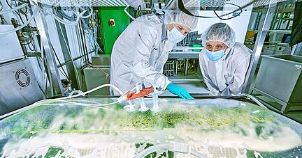 In diesen Bioreaktoren züchtet die Freiburger Firma Eleva neuartige Wirkstoffe in Moos. Foto: Eleva