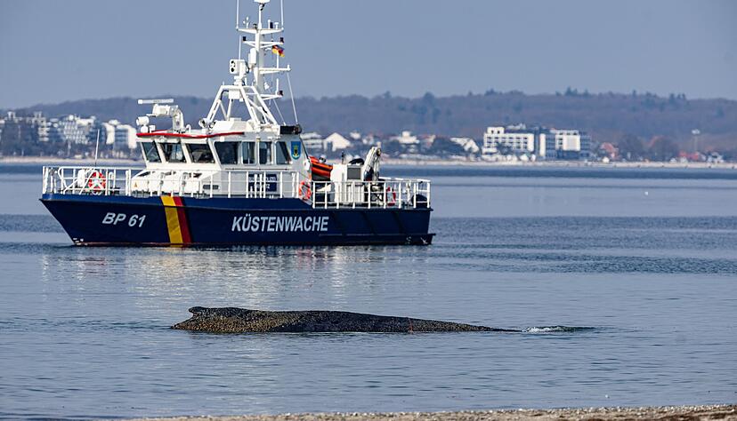Die Polizei hat das Gel&auml;nde abgesperrt, um das Tier nicht zu beunruhigen.