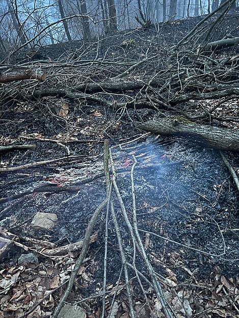 Die Polizei geht derzeit davon aus, dass es sich um Brandstiftung handelte. Die Polizei geht derzeit davon aus, dass es sich um Brandstiftung handelte.