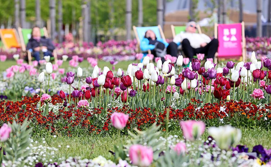 Inklusionstag auf der Buga