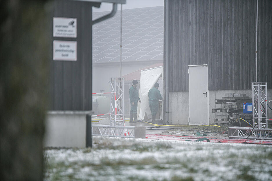 Menschen arbeiten an einer Halle auf einem Hof mit Putenmast. Wegen eines Ausbruchs der Vogelgrippe im Landkreis Schwäbisch Hall sind 50.000 Puten getötet worden.