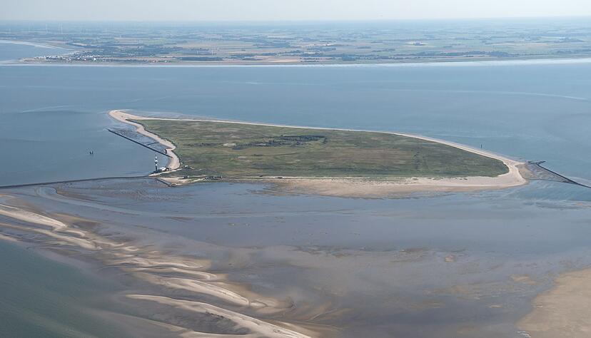 Ein Betreten der streng gesch&uuml;tzten, unbewohnten Vogeschutzinsel Minsener Oog mitten im Nationalpark Wattenmeer ist nicht erlaubt. (Archivbild)