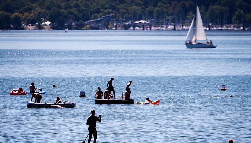 Zur T&ouml;tung des Welses h&auml;tte es aus Sicht von Peta eine Alternative gegeben.