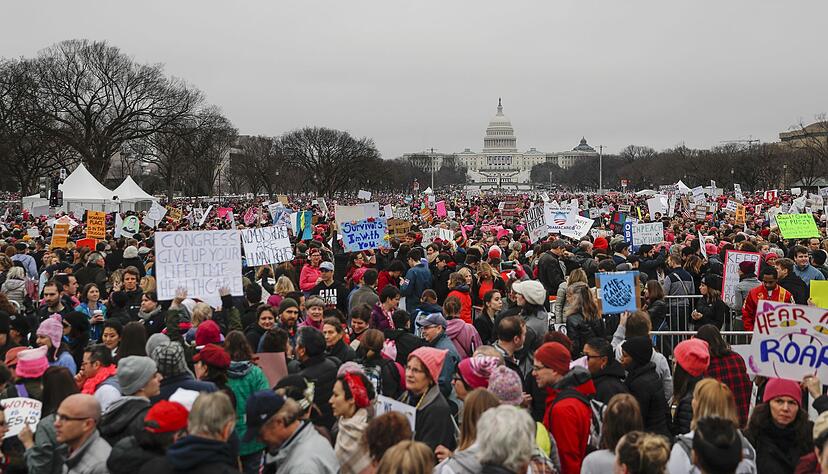 Nach Trumps erster Amtseinf&uuml;hrung gingen landesweit Millionen von Menschen auf die Stra&szlig;e. (Archivbild)