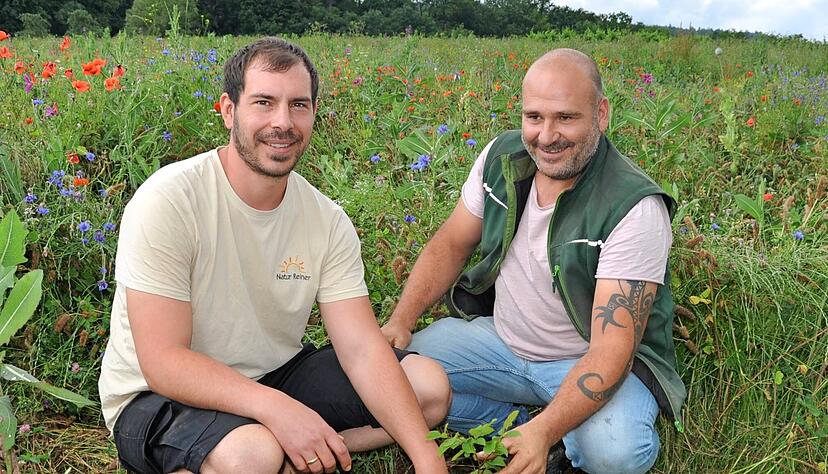 Die beiden Landwirte Aaron Reiner (links) und Markus Dieter inmitten ihrer neu angelegten Plantage. Die noch winzigen Trüffelbäume sind in der Blütenpracht kaum wahrnehmbar.
Foto: Claudia Kostner