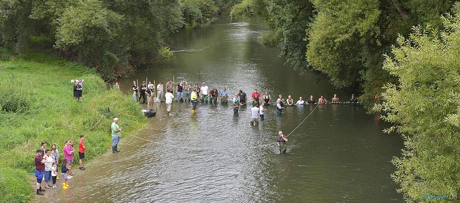 Fischrettung Siglingen | 28.08.2015