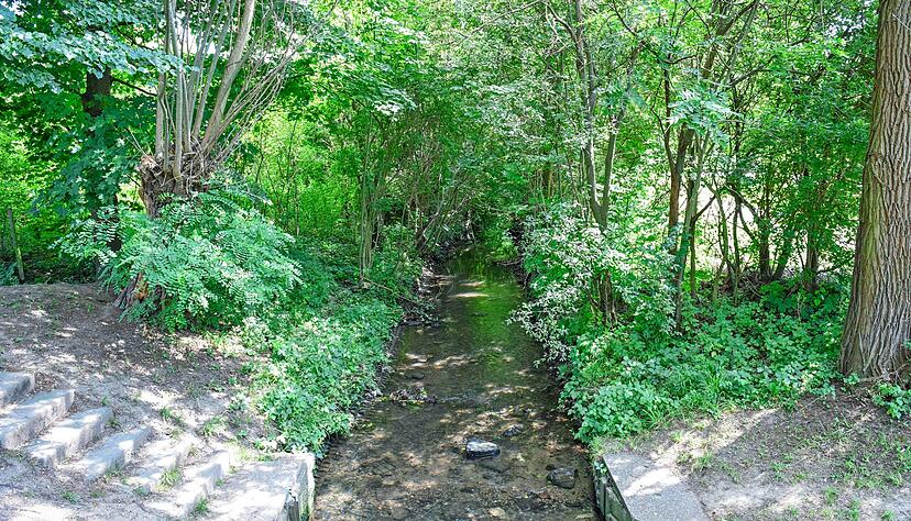 Die Zaber ist in der Regel ein ruhiges Flüsschen. Da es aber auch intensive Regenfälle gab, entschlossen sich die Anliegergemeinden zum Hochwasserschutz. Die Zaber ist in der Regel ein ruhiges Flüsschen. Da es aber auch intensive Regenfälle gab, entschlossen sich die Anliegergemeinden zum Hochwasserschutz.
