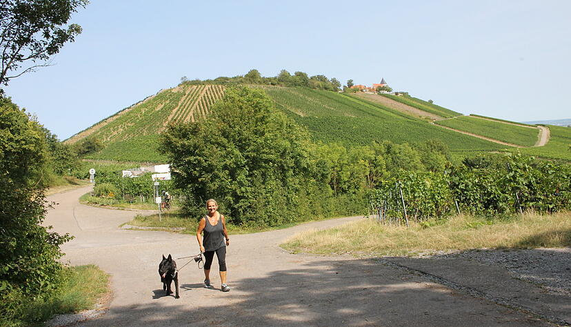 Katrin Lorey aus Hausen an der Zaber f&uuml;hrt am Fu&szlig;e des Michaelsbergs ihre H&uuml;ndin Bonnie aus. Hier gibt es viele Wege f&uuml;r Spazierg&auml;nger, Wanderer und Radfahrer.