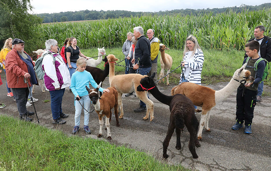 Ob im Stall oder auf dem Spaziergang mit den Tieren, Jung und Alt nahmen unvergessliche Eindr&uuml;cke mit auf den Heimweg.