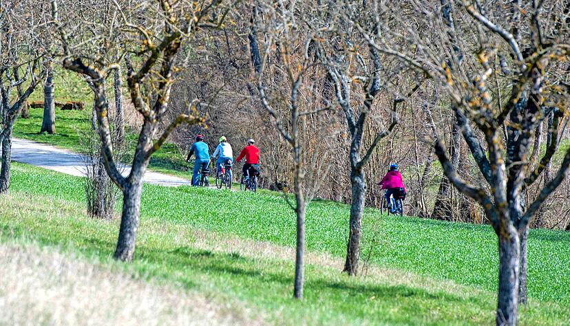 Durchs Landschaftsschutzgebiet Auwald in Obersulm führt die ausgeschilderte Tour für Rollifahrer.