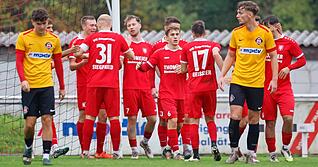 Die Gommersdorfer freuen sich mit Jan Reuther (Fünfter von links) über dessen Traumtor zum 4:0 gegen die Spvgg Neckarelz.
Foto: Schmerbeck