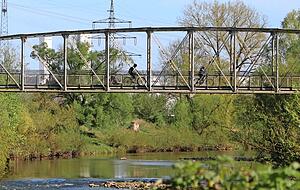 Unverständlich für den Gemeinderat: Der Neckarsteg von Bad Friedrichshall nach Untereisesheim wird nicht in den Radschnellweg einbezogen. Stattdessen wird eine neue Brücke gebaut.