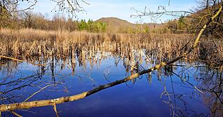 Foto: Ulrich Seidel Foto: Ulrich Seidel