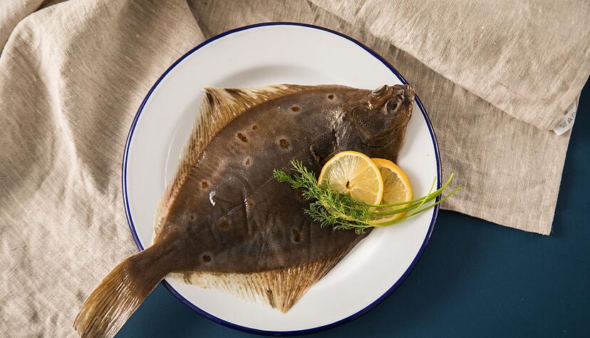 Nachhaltiger Fischverzehr: Regionale Plattfische wie Scholle aus der Ostsee können Verbraucher bedenkenlos kaufen. Nachhaltiger Fischverzehr: Regionale Plattfische wie Scholle aus der Ostsee können Verbraucher bedenkenlos kaufen.