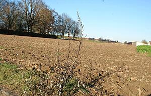 Wann können hier die Bagger anrücken? Im geplanten Neubaugebiet Mühlberg/Finkenberg am Biberacher Friedhof soll nun 2023 Baustart sein.
Foto: Friese Wann können hier die Bagger anrücken? Im geplanten Neubaugebiet Mühlberg/Finkenberg am Biberacher Friedhof soll nun 2023 Baustart sein.
Foto: Friese