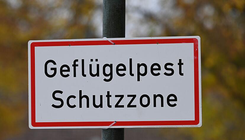 Baden-Württembergs Agrarminister Peter Hauk (CDU) geht davon aus, dass sich die Vogelgrippe auch im Süden Deutschlands weiter verbreiten wird. (Symbolbild) Baden-Württembergs Agrarminister Peter Hauk (CDU) geht davon aus, dass sich die Vogelgrippe auch im Süden Deutschlands weiter verbreiten wird. (Symbolbild)
