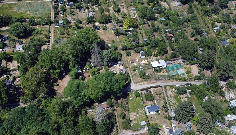 Im Böckinger Landschaftsschutzgebiet gibt es zahlreiche Gärten. Nicht alle sind in einem guten Zustand. Die Stadt geht bisher nur gegen eine Handvoll Gartenbesitzer vor.  Foto: Ralf Seidel