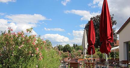 Umgeben von Oleandern lässt es sich auf der Terrasse der Weinstube Götz schön sitzen. Foto: Elektra Domesle