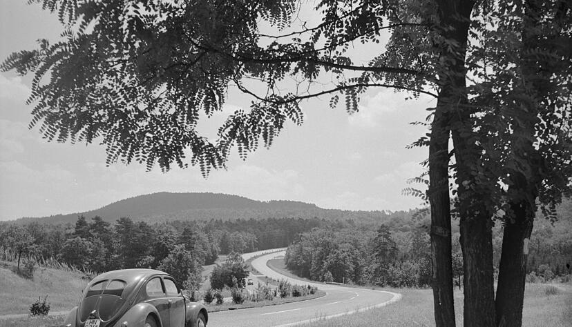 Zusammengestellt von Archiv und Dokumentation der Heilbronner Stimme 
Die A 81 beginnt am Autobahndreieck Würzburg-West. Der Abschnitt Heilbronn-Stuttgart ist der älteste der gesamten A 81. Seit 1940 hat Heilbronn seine Autobahn in Richtung Stuttgart.
Juli 1957: Freie Fahrt auf der Autobahn zwischen Weinsberg - Ellhofen und der Reisbergbrücke.  der heutigen A 81. Eine nummerische Bezeichnung der Autobahnen erfolgte erst zum 1. Januar 1975.