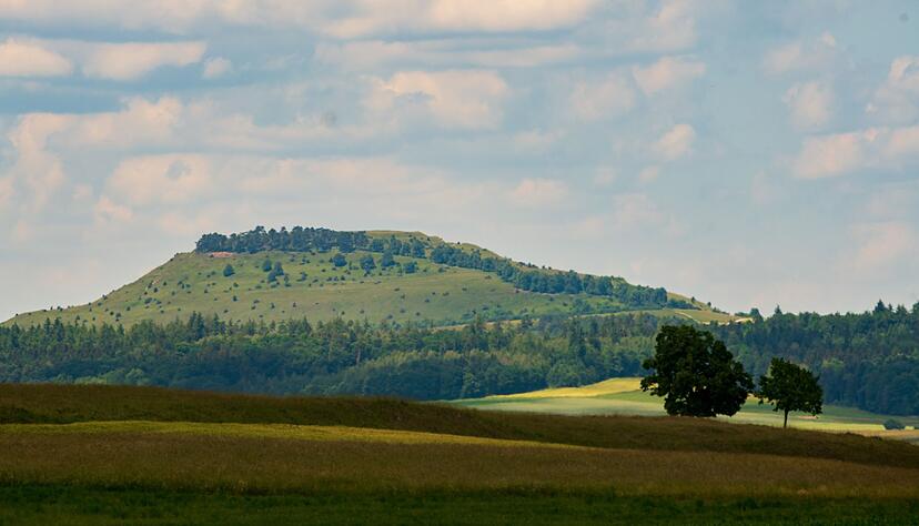 Goldschakale streunen vermehrt durch Baden-W&uuml;rttemberg. (Symbolfoto)