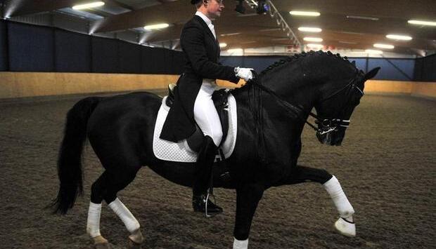Matthias-Alexander Rath in der Reithalle mit Totilas beim Show-Reiten.