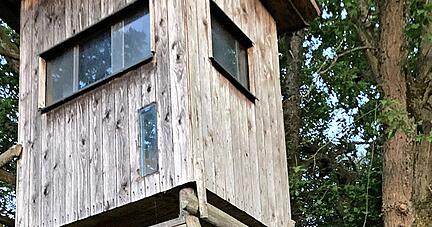 Seit 1995 hat Rüdiger Winter einen Jagdschein. Geschossen wird aber nicht immer: Manchmal lauscht er auch einfach nur den Vögeln.
Foto: Elfi Hofmann Seit 1995 hat Rüdiger Winter einen Jagdschein. Geschossen wird aber nicht immer: Manchmal lauscht er auch einfach nur den Vögeln.
Foto: Elfi Hofmann