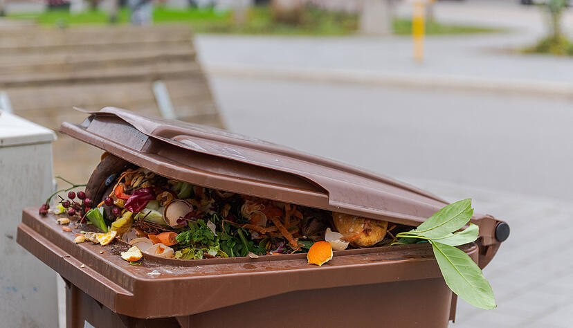 Nach den Feiertagen ist die Biotonne oft prall gef&uuml;llt.