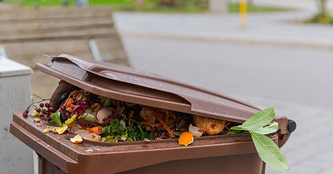 Nach den Feiertagen ist die Biotonne oft prall gef&uuml;llt.