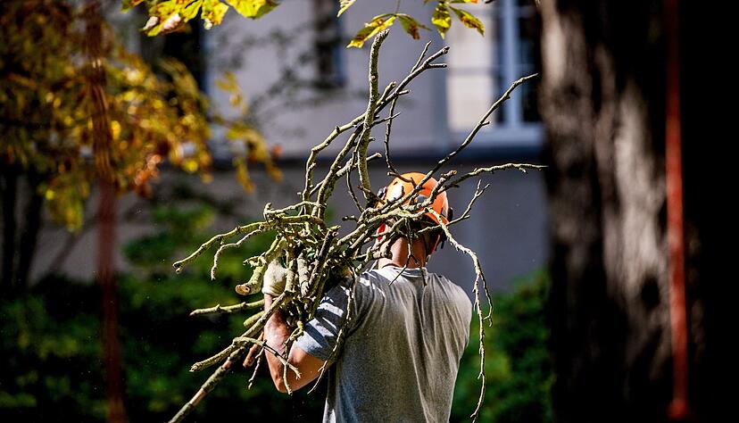 Profi f&uuml;r die Gartenarbeiten engagiert? Dann sollten zumindest Teile der Kosten steuerlich absetzbar sein.