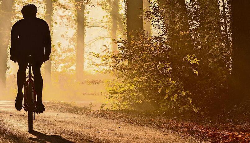 Offiziell dürfen Fahrradfahrer in Baden-Württemberg nur auf Waldwegen unterwegs sein, die breiter als zwei Meter sind. Das wollen viele Mountainbiker ändern.Foto: Mediagram/Fotolia