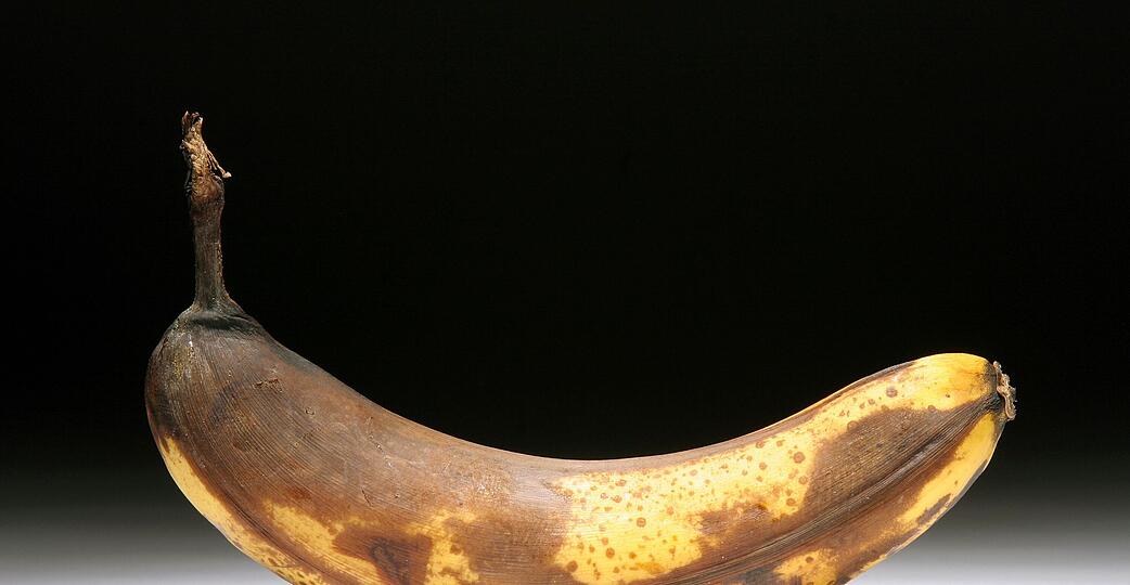 &Uuml;berreife Bananen enthalten Alkohol: je brauner die Schale, desto h&ouml;her der Alkoholgehalt durch nat&uuml;rliche G&auml;rung.