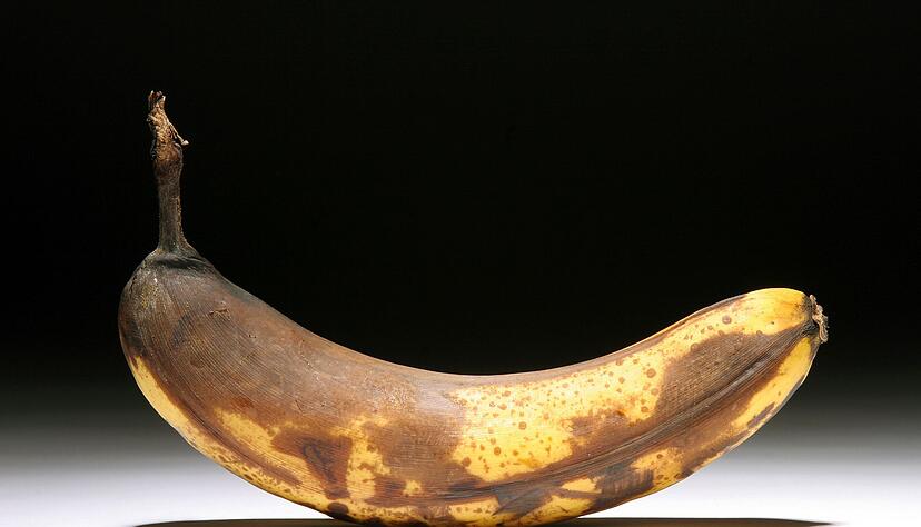 Überreife Bananen enthalten Alkohol: je brauner die Schale, desto höher der Alkoholgehalt durch natürliche Gärung. Überreife Bananen enthalten Alkohol: je brauner die Schale, desto höher der Alkoholgehalt durch natürliche Gärung.