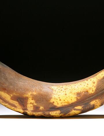 &Uuml;berreife Bananen enthalten Alkohol: je brauner die Schale, desto h&ouml;her der Alkoholgehalt durch nat&uuml;rliche G&auml;rung.