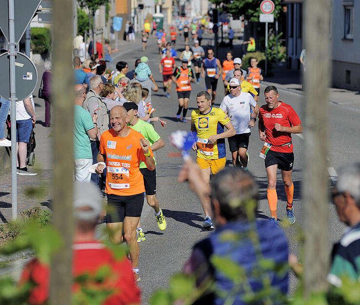 Trollinger Marathon bei Flein