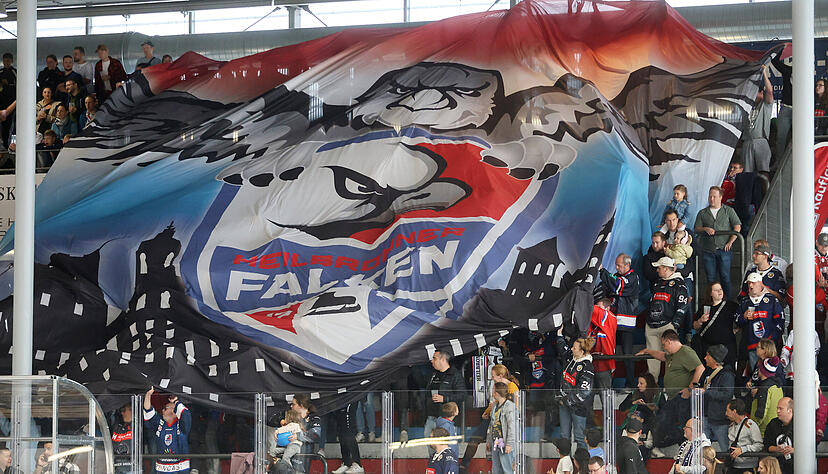 Das Logo der Heilbronner Falken haben die neuen Macher der neuen Falken nur etwas modifiziert und sich gegen einen kompletten Neuentwurf entschieden.