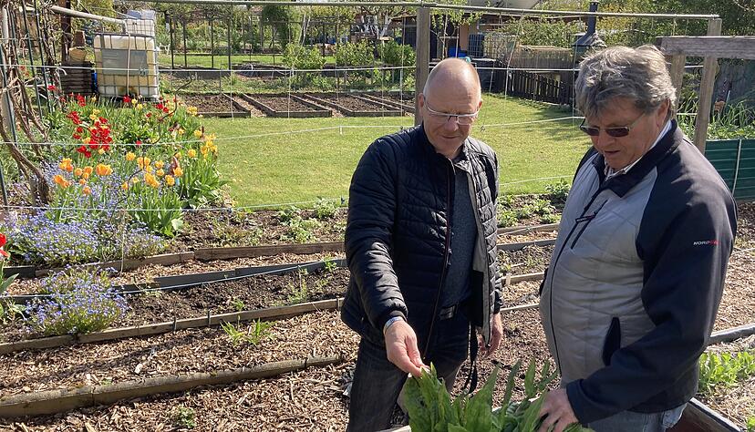 Vereinschef Ralf Hennrich (links) mit Hobbygärtner Waldemar Felsing in der Böckinger Kleingartenanlage Rasenäcker. Foto: Alexander Klug Vereinschef Ralf Hennrich (links) mit Hobbygärtner Waldemar Felsing in der Böckinger Kleingartenanlage Rasenäcker. Foto: Alexander Klug