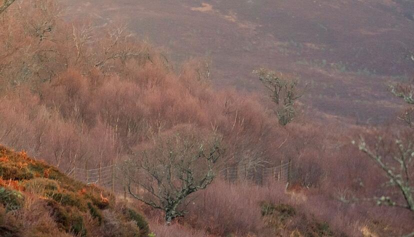 Auf den Spuren des Erfolgs: 1976 war der Erfolg des GTI noch nicht unbedingt absehbar - er wurde aber zur Ikone nicht nur einer Generation.