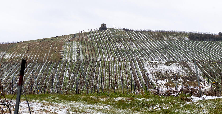 Auch in den Weinbergen im Raum Heilbronn ist ein wenig Schnee liegengeblieben.