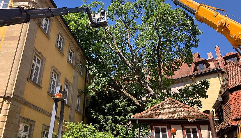 Ein Baum ist auf das Bad Wimpfener Konventhaus gest&uuml;rzt.