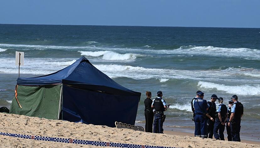 Bissspuren deuten darauf hin, dass der Surfer Opfer eines Weißen Hais wurde. Bissspuren deuten darauf hin, dass der Surfer Opfer eines Weißen Hais wurde.