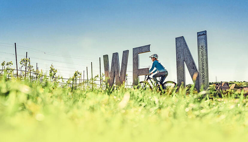 Wein und Radfahren spielen für die Tourismusregion eine wichtige Rolle. Wein und Radfahren spielen für die Tourismusregion eine wichtige Rolle.
