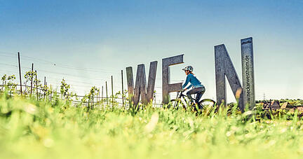 Wein und Radfahren spielen für die Tourismusregion eine wichtige Rolle.