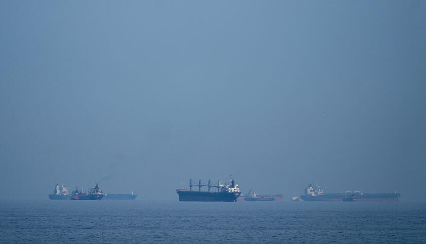 &Uuml;ber die Seerouten um den Iran werden viele Rohstoffe verschifft. (Symbolbild)