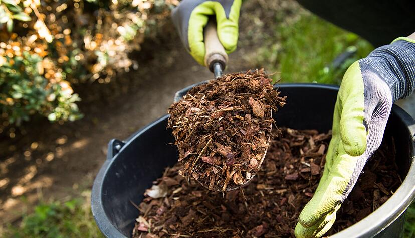 Rindenmulch sch&uuml;tzt vor Trockenheit, bremst Unkraut und st&auml;rkt den Boden.