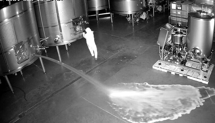 Aufnahme einer Sicherheitskamera: Im Lagerraum der Kellerei Bodegas Cepa 21 wird Wein verschüttet. Aufnahme einer Sicherheitskamera: Im Lagerraum der Kellerei Bodegas Cepa 21 wird Wein verschüttet.
