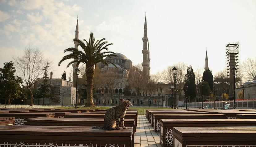 Das Kopftuch ist in der T&uuml;rkei weiter umstritten, auch abseits von Gebetsst&auml;tten wie etwa die Blaue Moschee in Istanbul. (Archivbild)